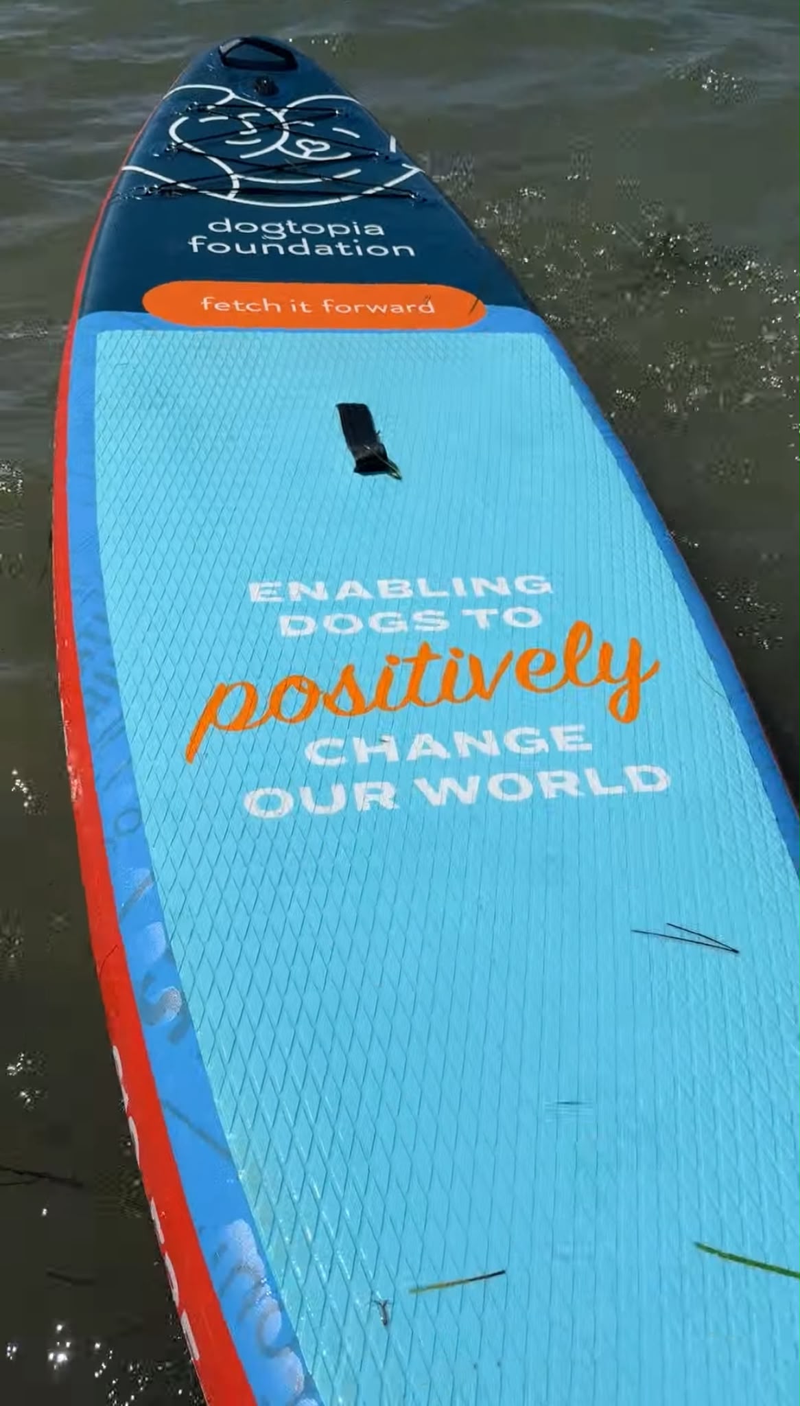 A custom-branded paddleboard with a logo printed edge-to-edge