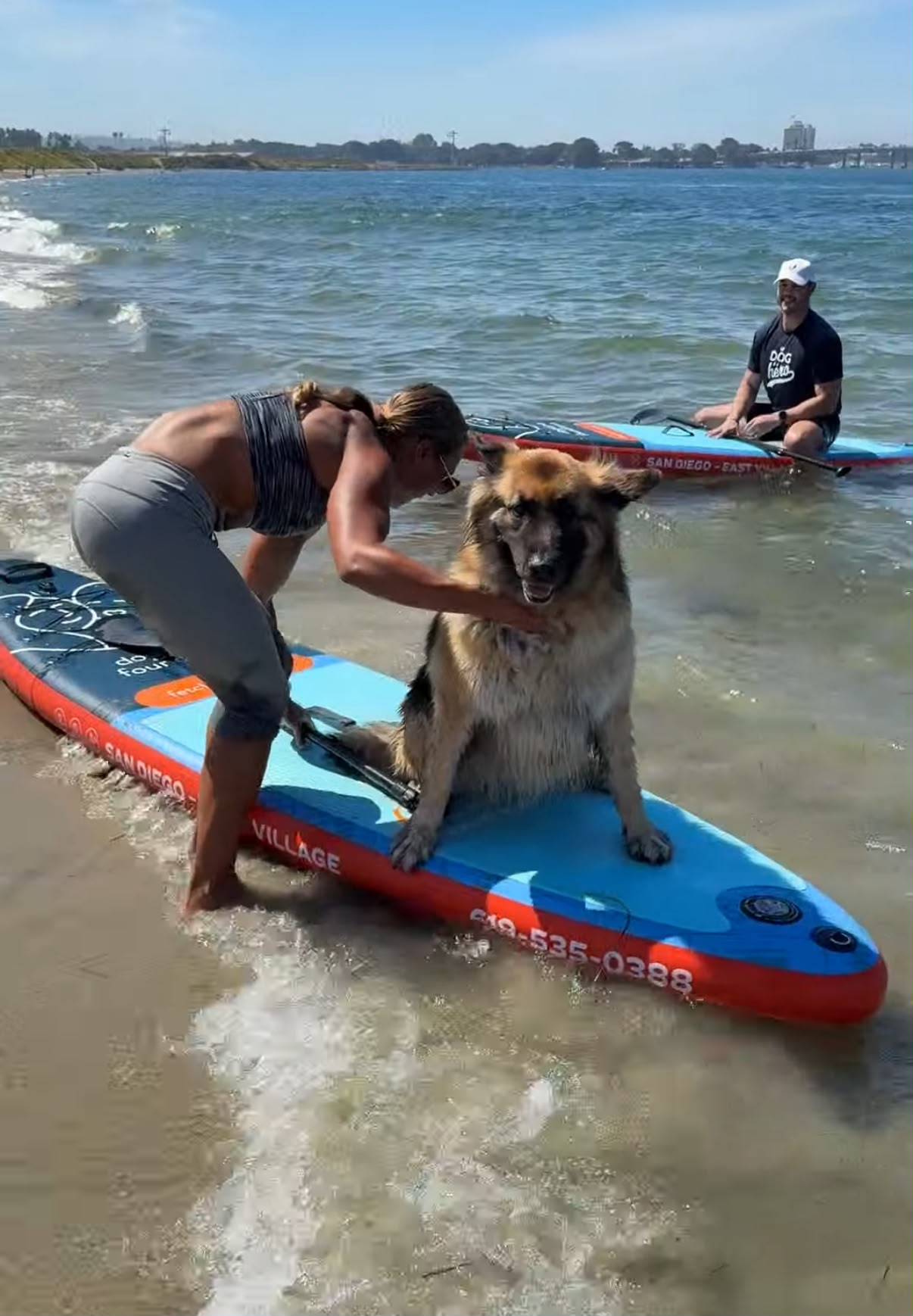 A branded paddleboard fleet in use at the beach, one with a dog aboard