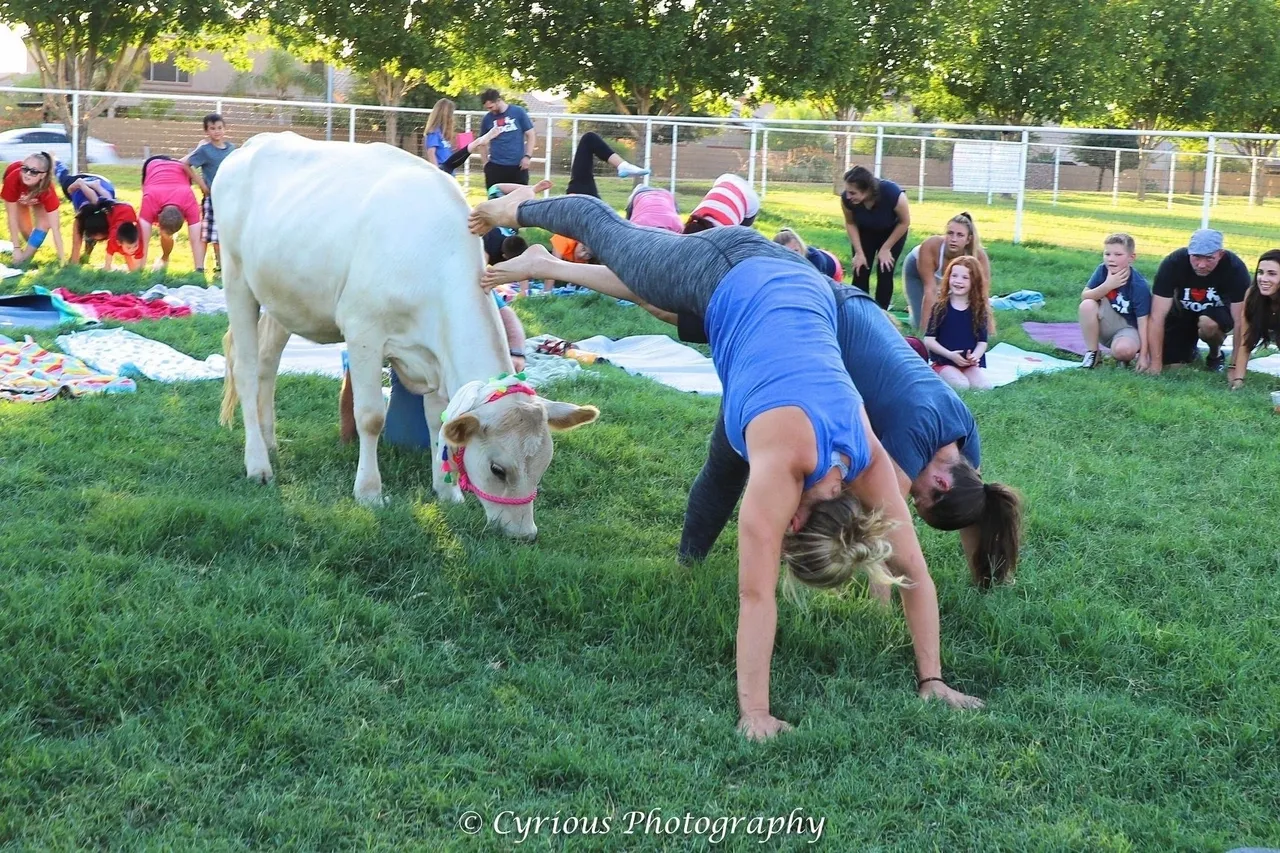 Arizona Goat Yoga on AGT