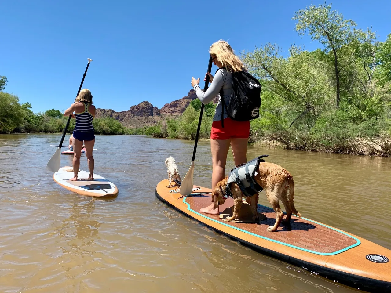 Salt River Paddleboarding in the Winter