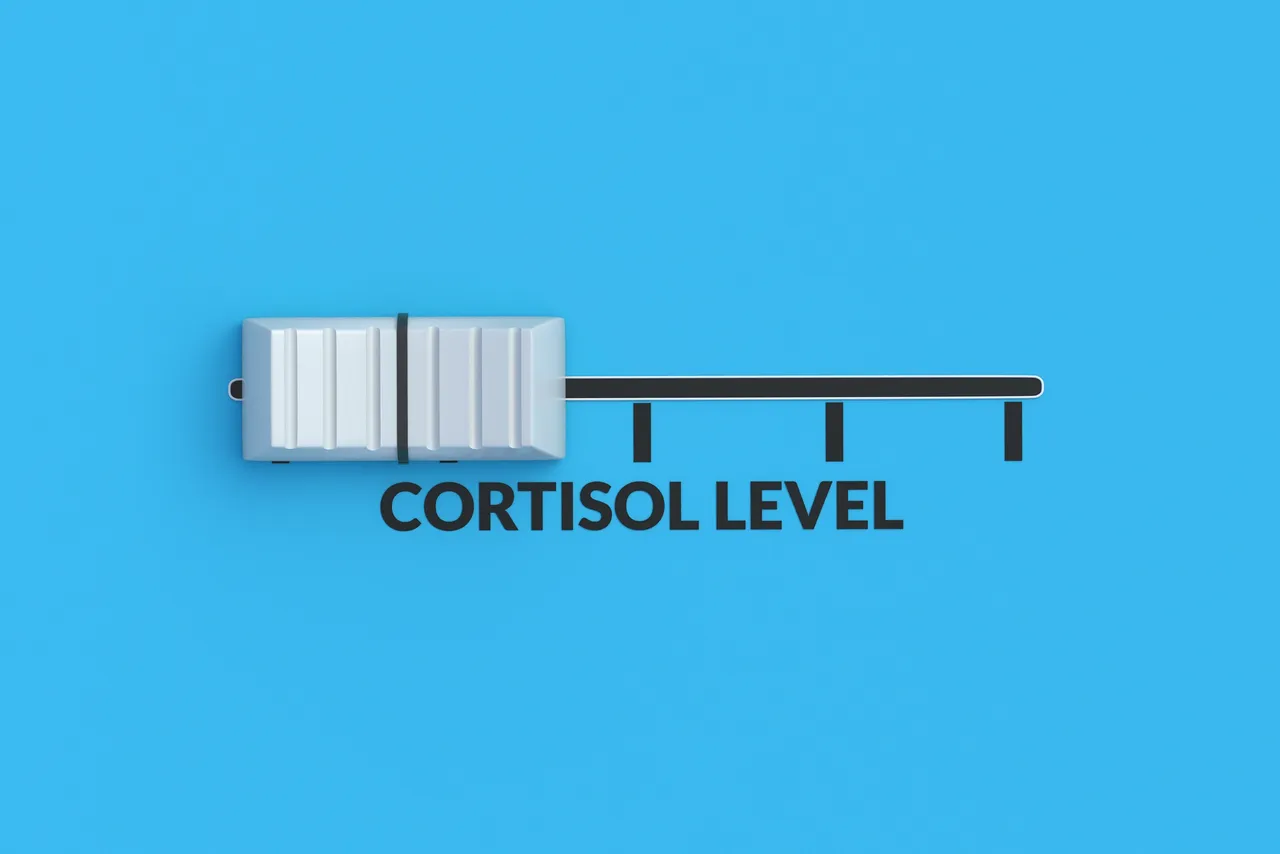 Simple Ways to Lower Cortisol This Summer