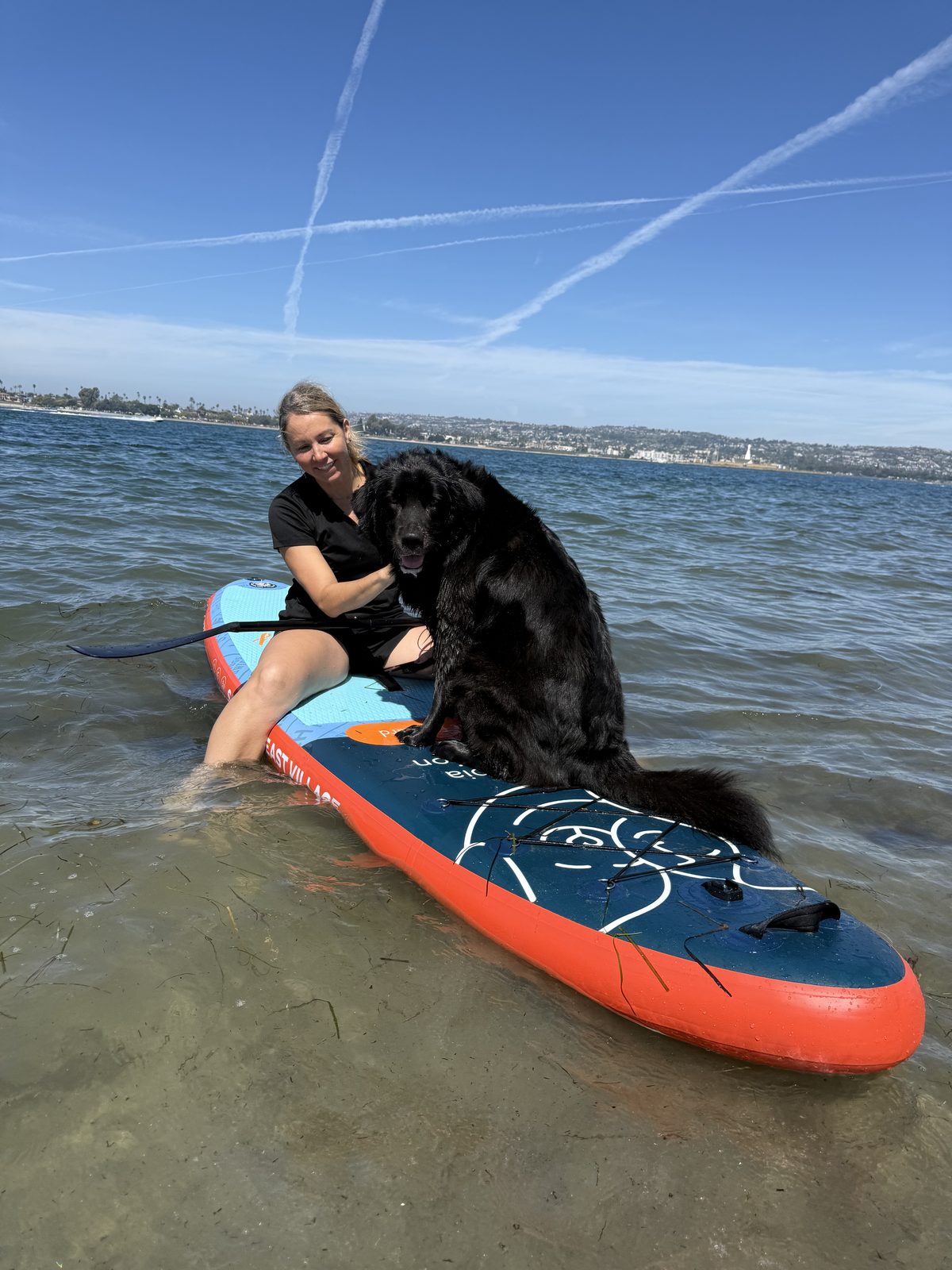 A large dog standing on a branded paddleboard on open water